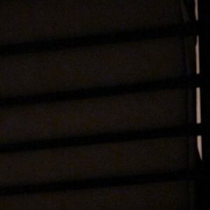 Meet your Posher, Dani